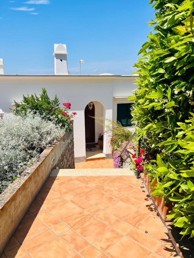 B&B L'Agapanto Κάπρι Εξωτερικό φωτογραφία