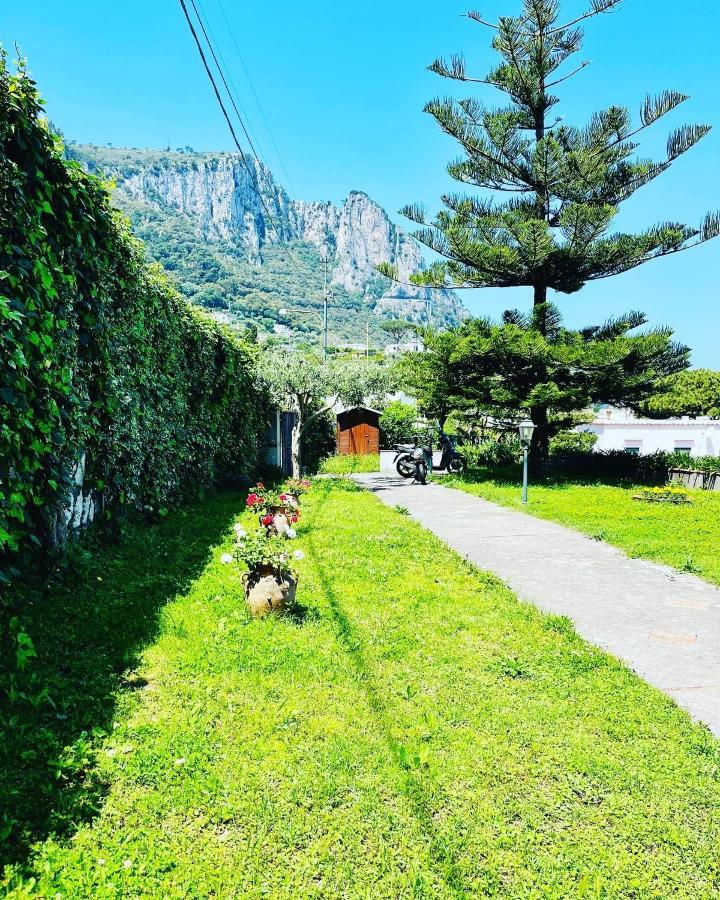 B&B L'Agapanto Κάπρι Εξωτερικό φωτογραφία